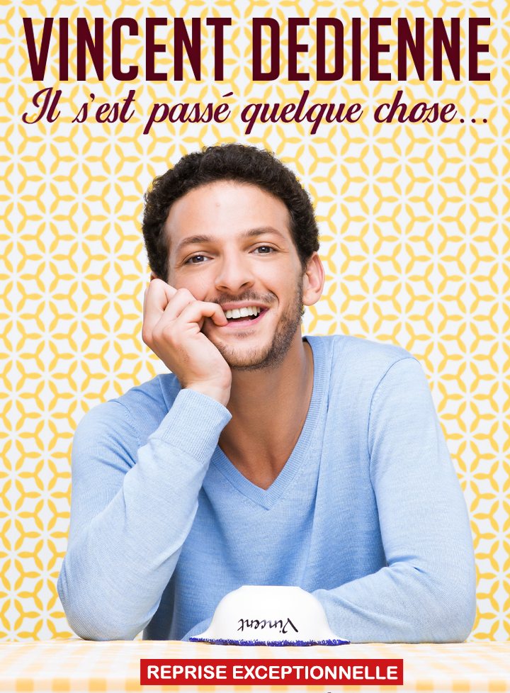 spectacle vincent dedienne